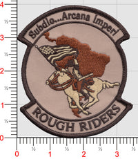 USAF Rough Riders Patch
