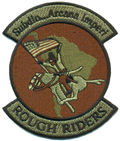 USAF Rough Riders Patch
