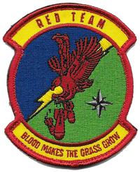 USAF 116th Air Support Operations Squadron Patch