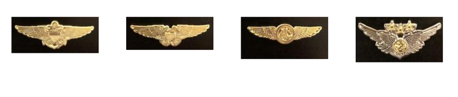 US Navy/Marines Wings Pins