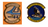 VP-9 Golden Eagles Pin