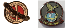 VP-1 Screaming Eagles Pin