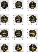 VMM-165 White Knights Qual Patch