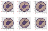 Official VMM-364 Purple Foxes "Special Fox" Qual patches