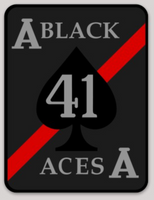 Officially Licensed US Navy VF-41/VFA-41 Black Aces Stickers