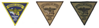 Officially Licensed US Navy Training Wing-4 Patch