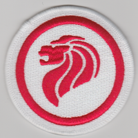 International Aircraft Insignia (Roundels) Patches