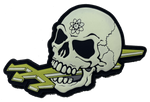 VAQ-133 Wizards skull PVC Patch