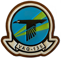 Officially Licensed US Navy VAQ-135 Black Ravens Leather Squadron Patches