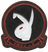 Officially Licensed USMC VMCJ-2 Playboys Leather Patch