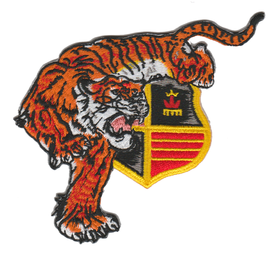 VMFA(AW)-224 Fighting Bengals Patch