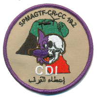 Official VMM-364 Purple Fox Iraq Deployment Qualification Patches