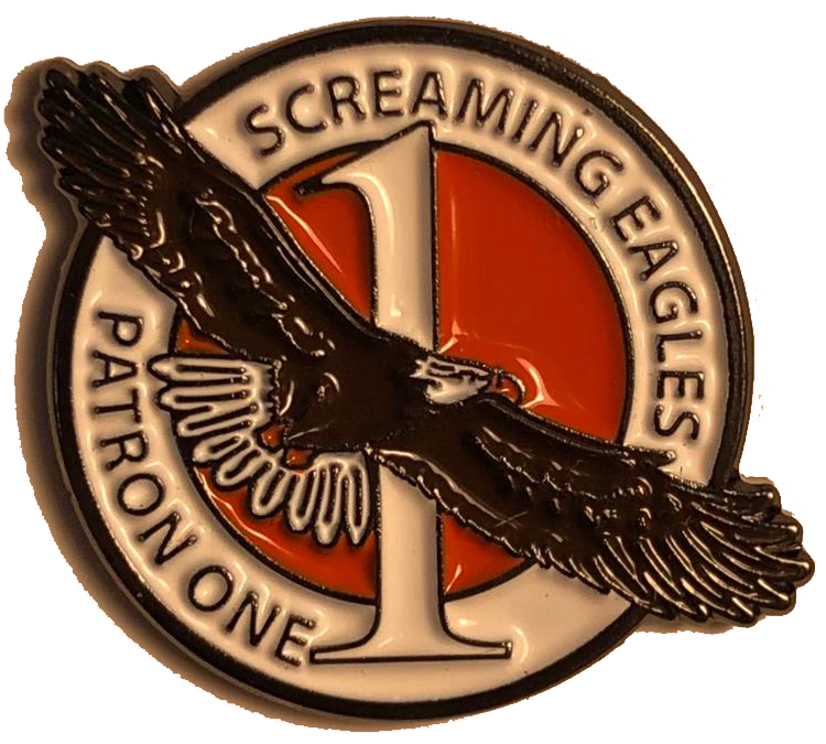 VP-1 Screaming Eagles Pin