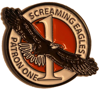 VP-1 Screaming Eagles Pin