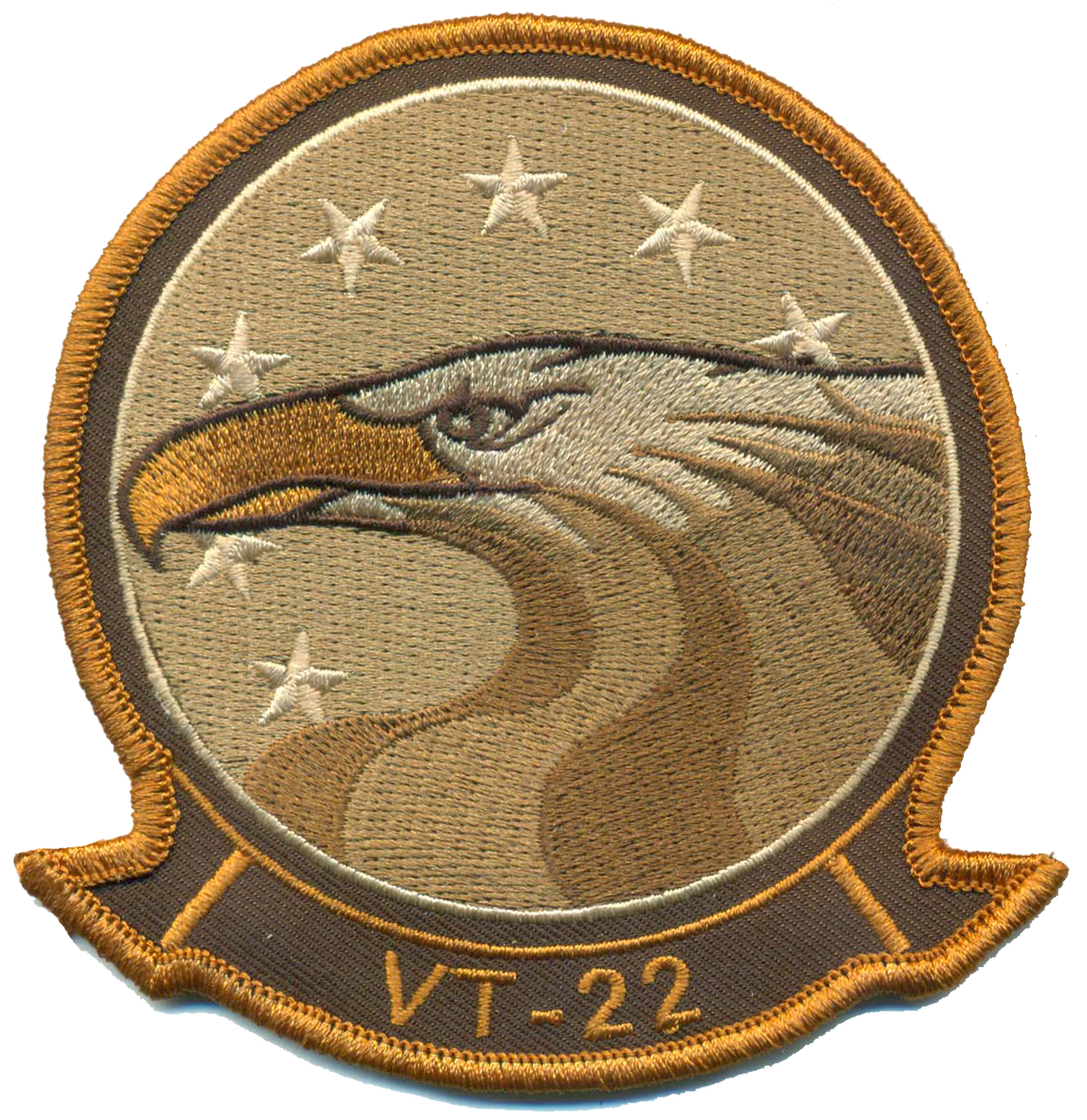 Officially Licensed US Navy VT-22 Golden Eagles 2019 Squadron Patches