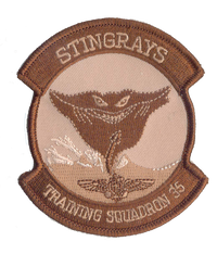 Officially Licensed US Navy VT-35 Stingrays Squadron Patches