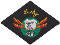 AWS 11 Patch
