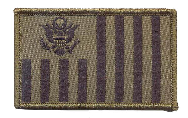 US Customs Ensign (Small 2 x 3.5") Patch (CBP Ensign)
