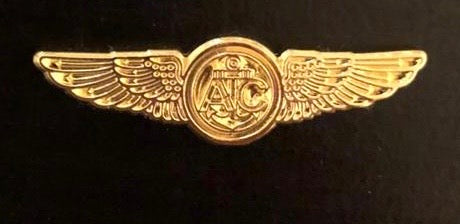 US Navy/Marines Wings Pins
