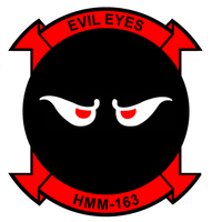 Officially Licensed USMC HMM-163 Evil Eyes Sticker