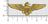 Navy/Marine Aviator Wings Patch