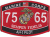 7565 AH-1 Pilot