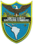 USAF US Southern Command Patch
