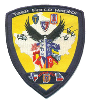 Task Force Raptor Patch